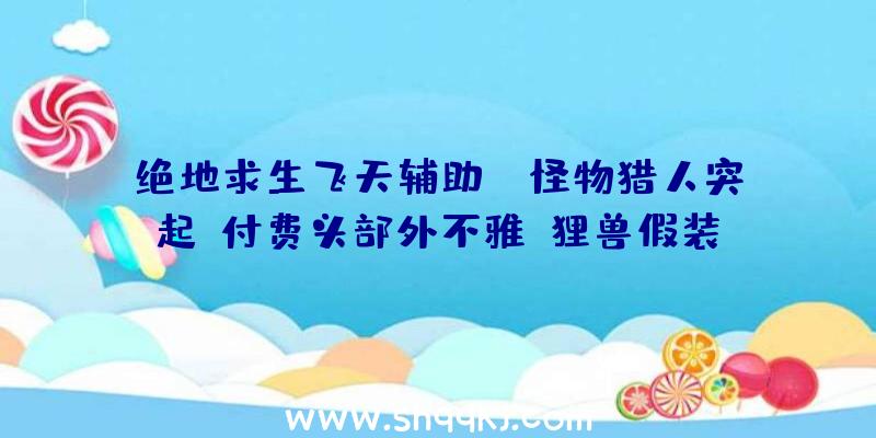 绝地求生飞天辅助：《怪物猎人突起》付费头部外不雅“狸兽假装”被玩家吐槽“倒找钱都不带”