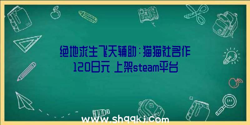 绝地求生飞天辅助：猫猫社名作《120日元》上架steam平台同时发布本作PC端设置装备摆设请求