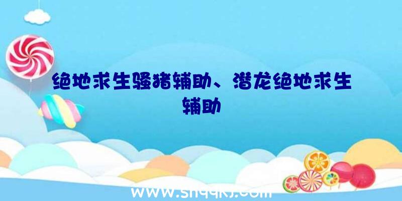 绝地求生骚猪辅助、潜龙绝地求生辅助