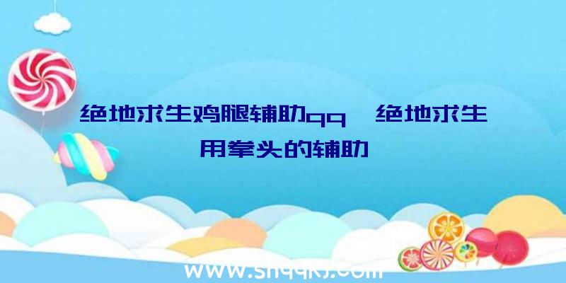 绝地求生鸡腿辅助qq、绝地求生用拳头的辅助