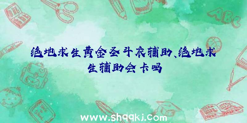 绝地求生黄金圣斗衣辅助、绝地求生辅助会卡吗