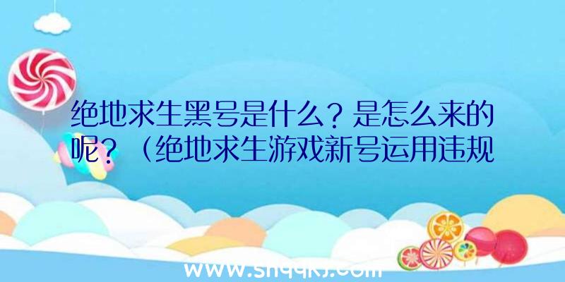 绝地求生黑号是什么？是怎么来的呢？（绝地求生游戏新号运用违规方法）