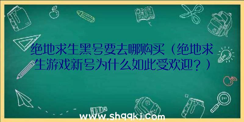 绝地求生黑号要去哪购买（绝地求生游戏新号为什么如此受欢迎？）