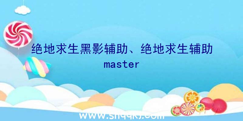 绝地求生黑影辅助、绝地求生辅助master