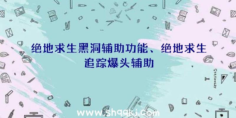 绝地求生黑洞辅助功能、绝地求生追踪爆头辅助