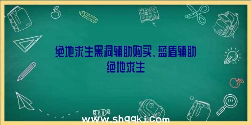 绝地求生黑洞辅助购买、蓝盾辅助绝地求生