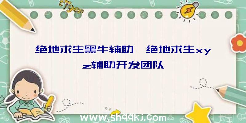 绝地求生黑牛辅助、绝地求生xyz辅助开发团队