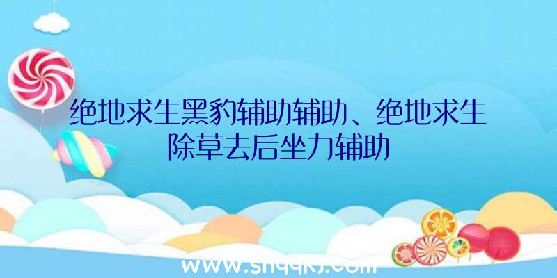 绝地求生黑豹辅助辅助、绝地求生除草去后坐力辅助