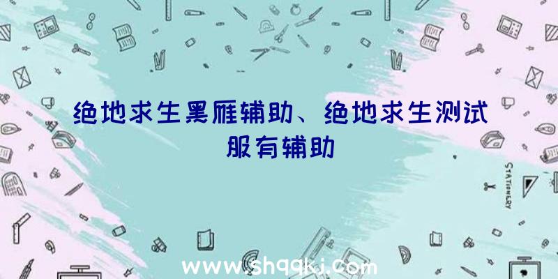 绝地求生黑雁辅助、绝地求生测试服有辅助