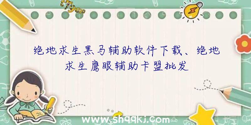 绝地求生黑马辅助软件下载、绝地求生鹰眼辅助卡盟批发