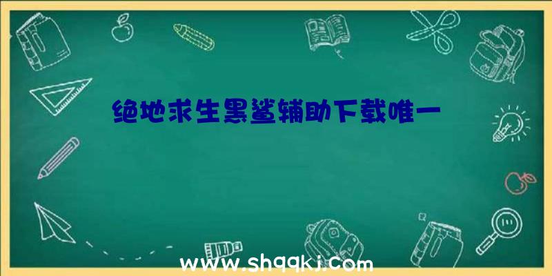 绝地求生黑鲨辅助下载唯一