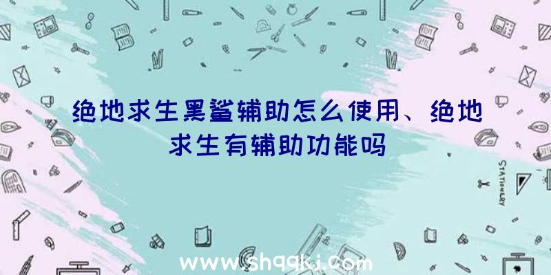 绝地求生黑鲨辅助怎么使用、绝地求生有辅助功能吗