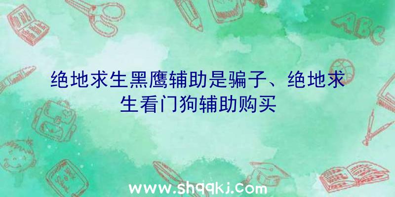 绝地求生黑鹰辅助是骗子、绝地求生看门狗辅助购买