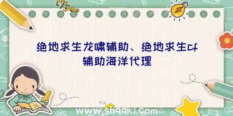 绝地求生龙啸辅助、绝地求生cf辅助海洋代理