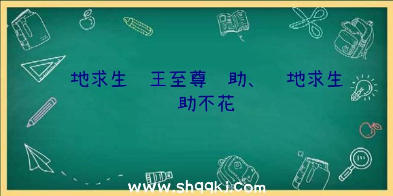 绝地求生龙王至尊辅助、绝地求生辅助不花钱