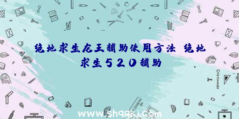 绝地求生龙王辅助使用方法、绝地求生520辅助