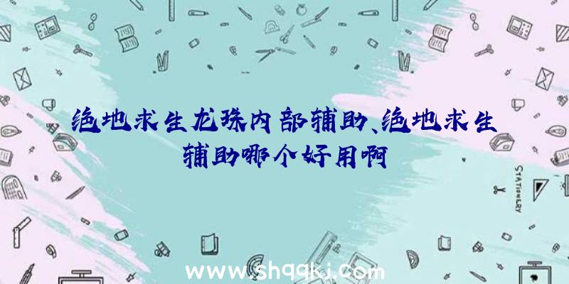 绝地求生龙珠内部辅助、绝地求生辅助哪个好用啊