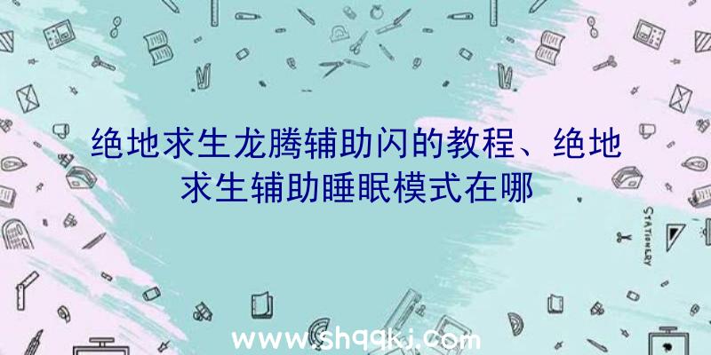 绝地求生龙腾辅助闪的教程、绝地求生辅助睡眠模式在哪