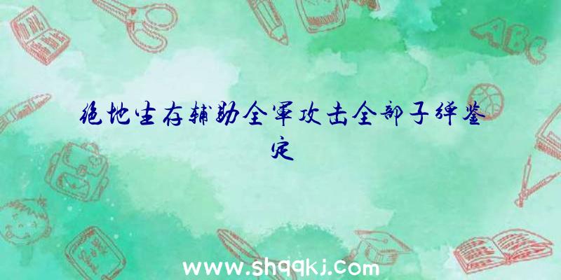 绝地生存辅助全军攻击全部子弹鉴定