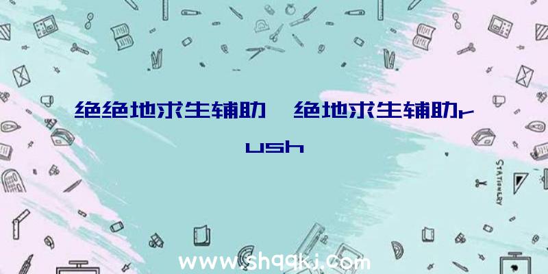 绝绝地求生辅助、绝地求生辅助rush