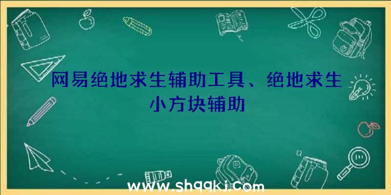 网易绝地求生辅助工具、绝地求生小方块辅助