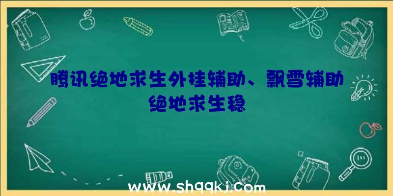 腾讯绝地求生外挂辅助、飘雪辅助绝地求生稳