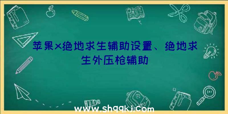 苹果x绝地求生辅助设置、绝地求生外压枪辅助