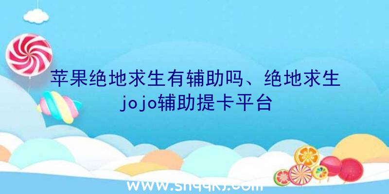 苹果绝地求生有辅助吗、绝地求生jojo辅助提卡平台