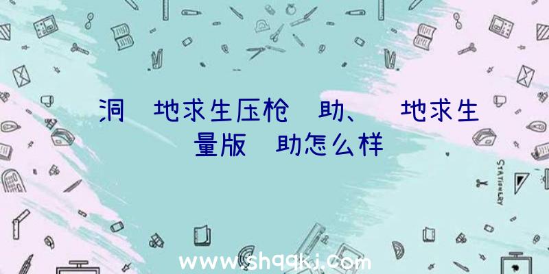 蓝洞绝地求生压枪辅助、绝地求生轻量版辅助怎么样