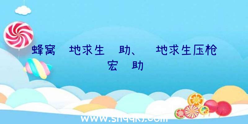 蜂窝绝地求生辅助、绝地求生压枪宏辅助