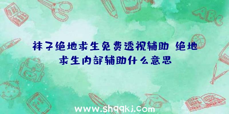 袜子绝地求生免费透视辅助、绝地求生内部辅助什么意思