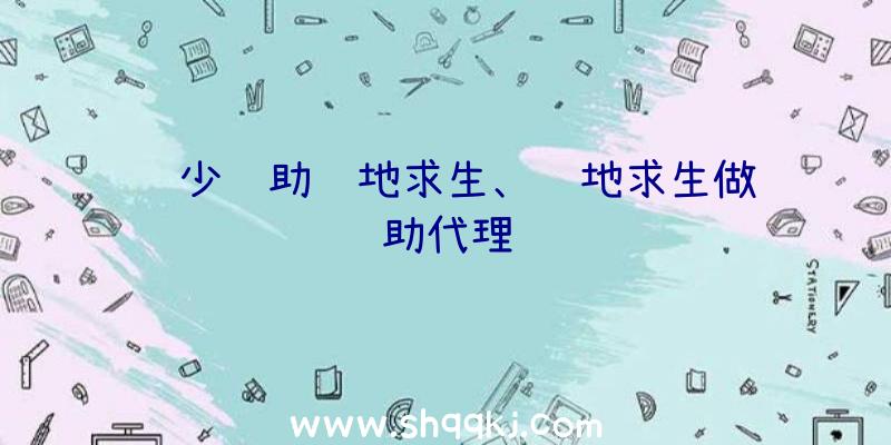 轩少辅助绝地求生、绝地求生做辅助代理