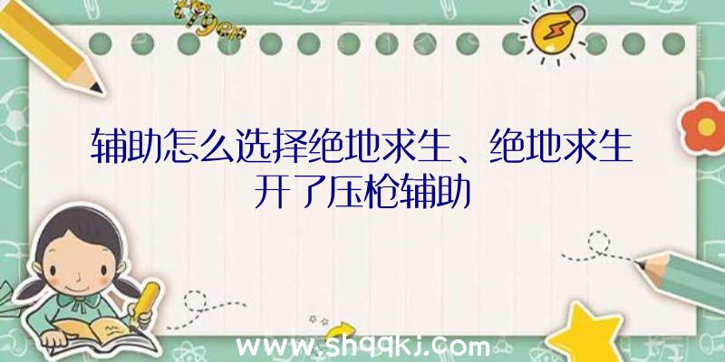 辅助怎么选择绝地求生、绝地求生开了压枪辅助