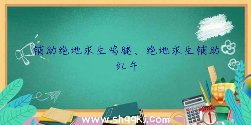 辅助绝地求生鸡腿、绝地求生辅助红牛