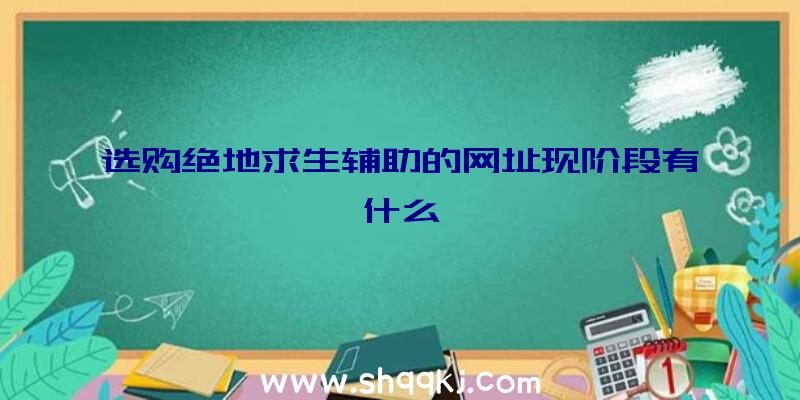 选购绝地求生辅助的网址现阶段有什么