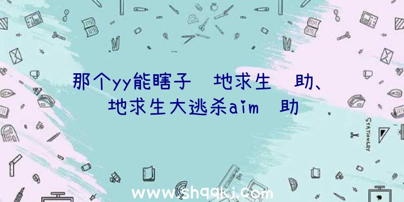 那个yy能瞎子绝地求生辅助、绝地求生大逃杀aim辅助