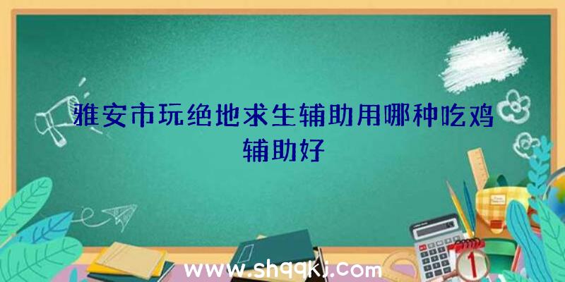 雅安市玩绝地求生辅助用哪种吃鸡辅助好