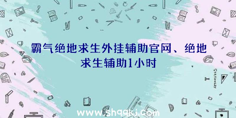 霸气绝地求生外挂辅助官网、绝地求生辅助1小时