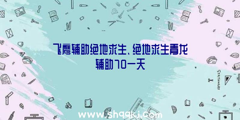 飞鹰辅助绝地求生、绝地求生青龙辅助70一天