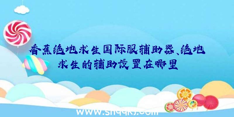 香蕉绝地求生国际服辅助器、绝地求生的辅助设置在哪里