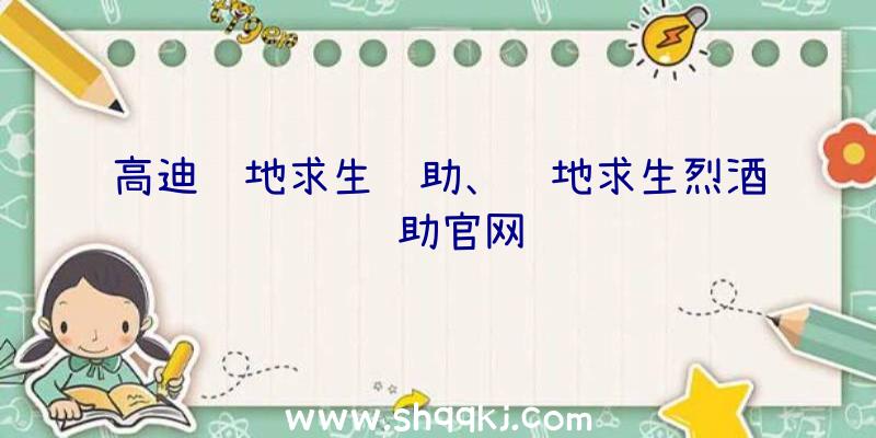 高迪绝地求生辅助、绝地求生烈酒辅助官网