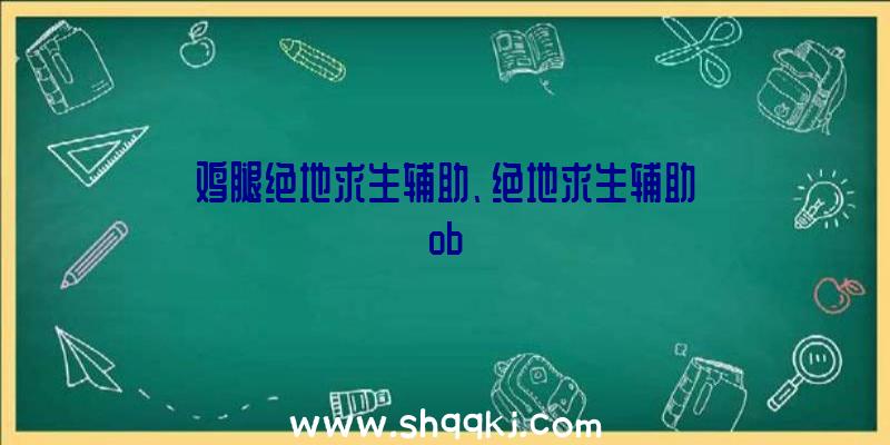 鸡腿绝地求生辅助、绝地求生辅助ob