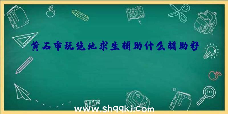 黄石市玩绝地求生辅助什么辅助好？