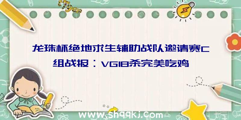 龙珠杯绝地求生辅助战队邀请赛C组战报：VG18杀完美吃鸡